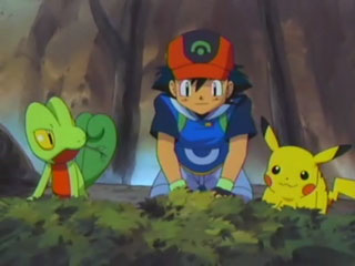 Сатоси и Пикачу решили помочь Кимори ухаживать за деревом